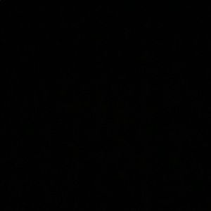 Meet your Posher, Syd